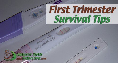 First Trimester Survival Tips  Natural Birth and Baby Care.com